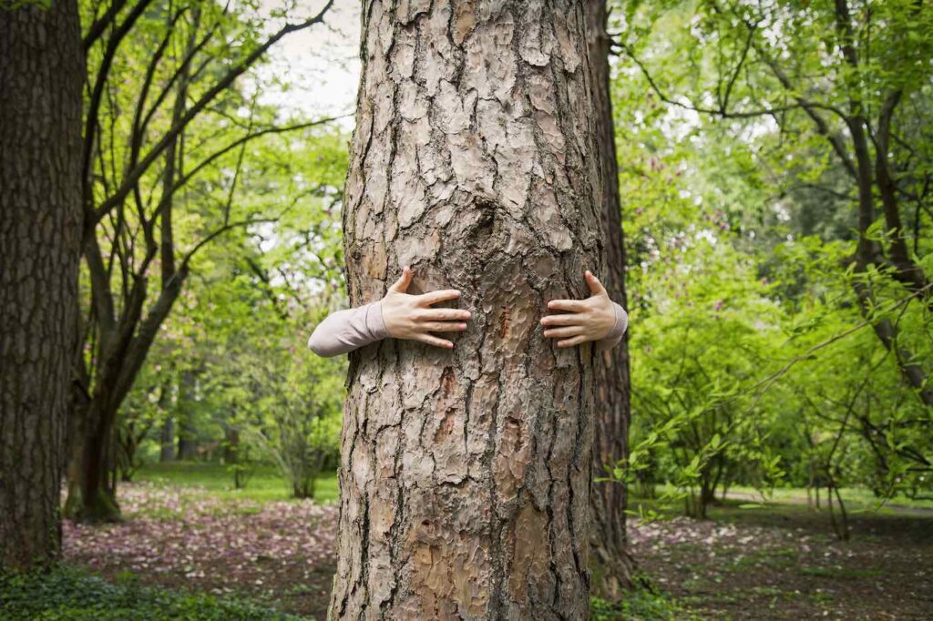 Trees for Cities give a tree a hug